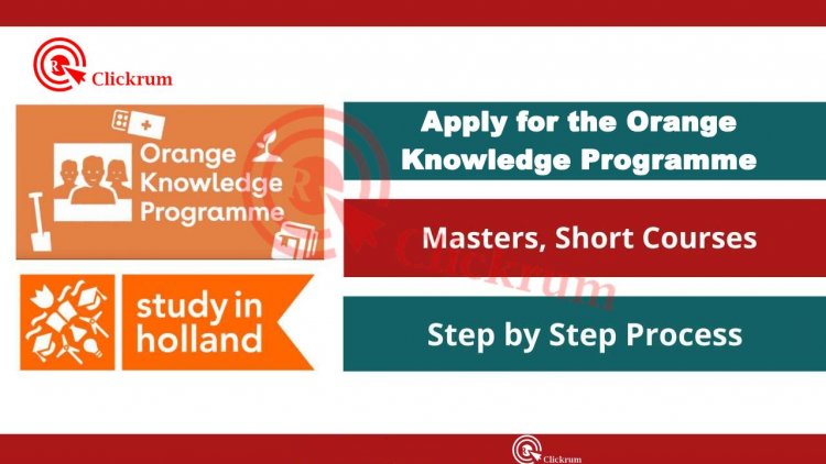 Why You Should Apply for the Orange Knowledge Programme 2023