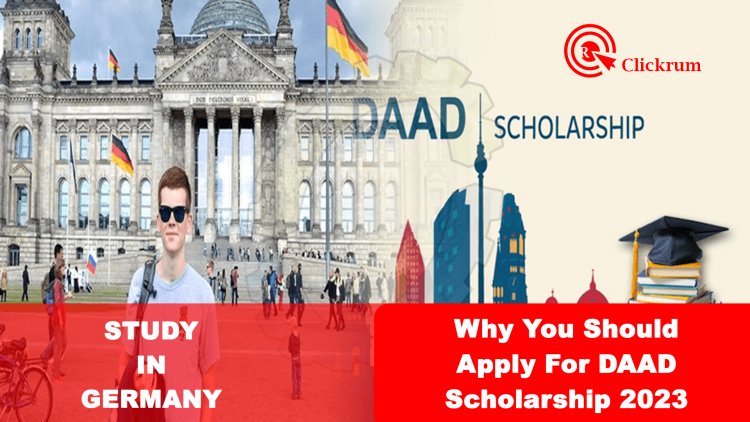 Why You Should Apply For DAAD Scholarship 2023