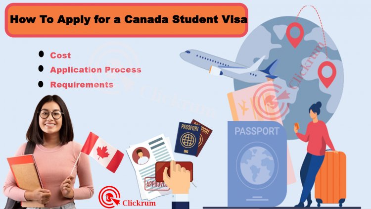 How To Apply for a Canada Student Visa: The Application Process and Requirements