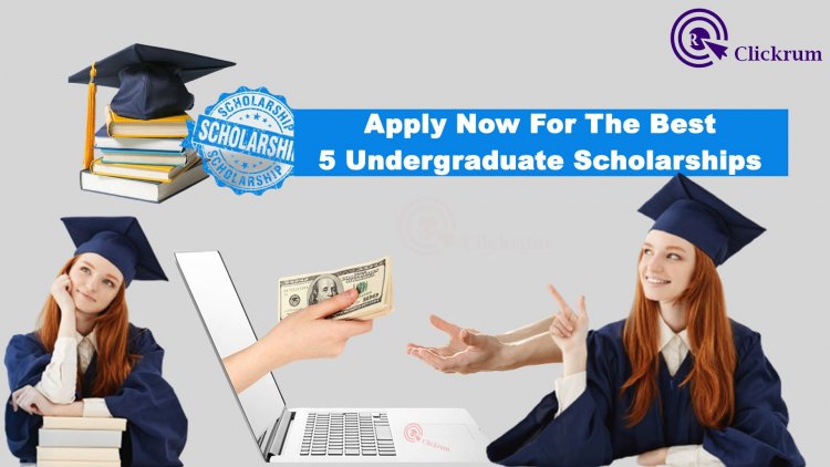 Apply Now For The Best 5 Undergraduate Scholarships Programs!
